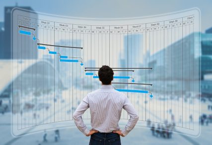 Person viewing digital Gantt chart